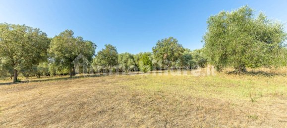 4 bedrooms Villa in Montalto di Castro, Italy No. 297740 9