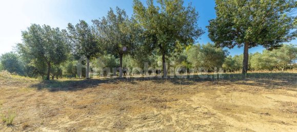 4 bedrooms Villa in Montalto di Castro, Italy No. 297740 7