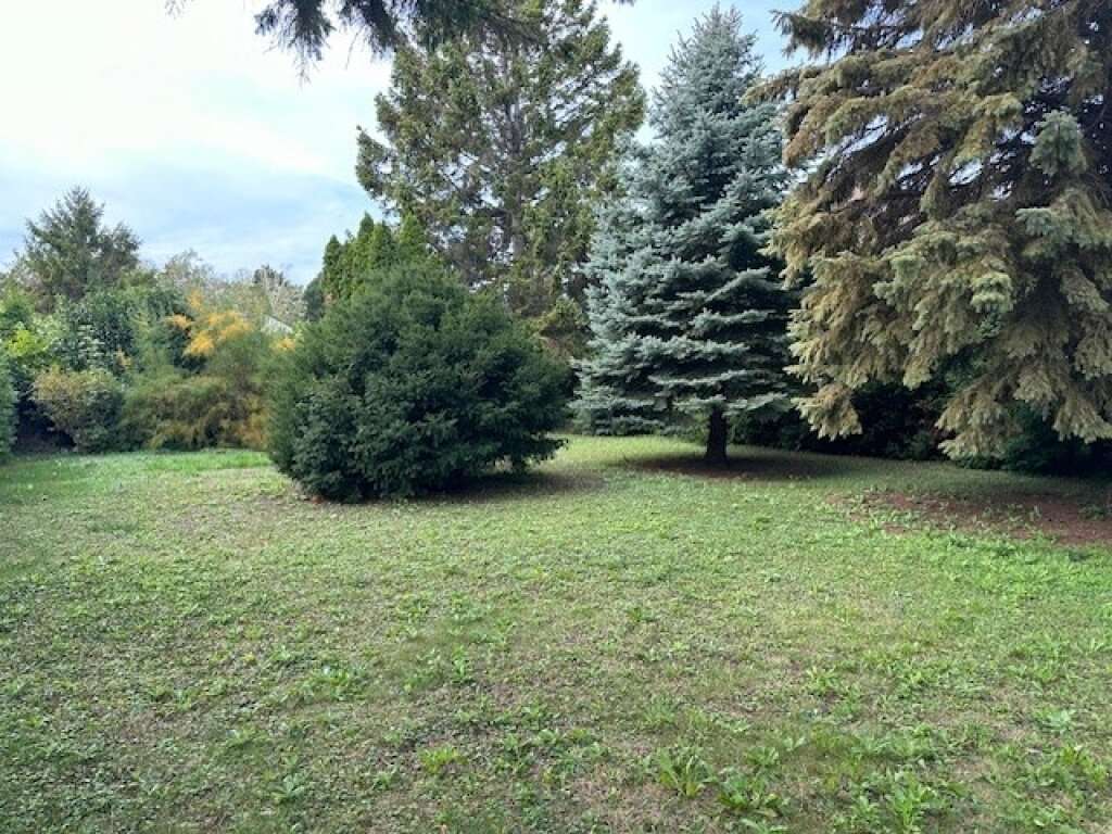 Grundstück in Ebreichsdorf, Austria, Nr. 87510