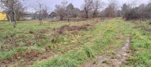 3800m² Land in Cabanas Raras, Spain No. 117859 4