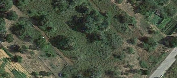 3800m² Land in Cabanas Raras, Spain No. 117859 2