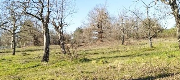 3800m² Land in Cabanas Raras, Spain No. 117859 3