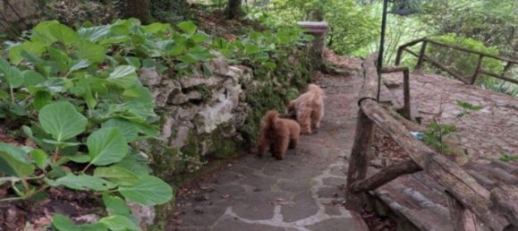 Villa de 6 divisões em Veroli, Italy N.º 273815 4
