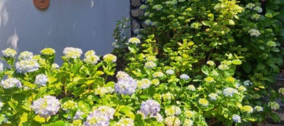 Villa de 6 divisões em Veroli, Italy N.º 273815 5