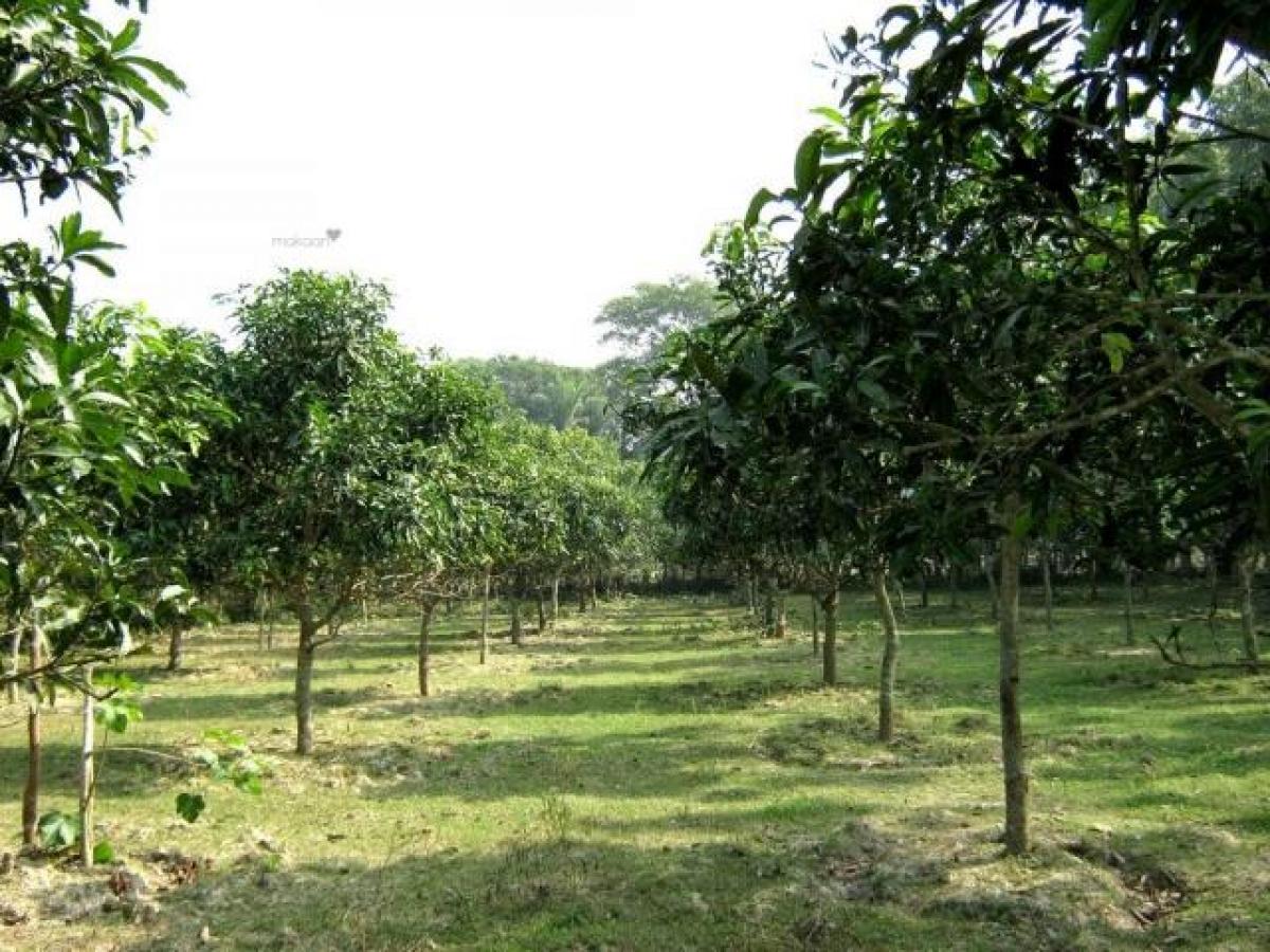  Land in Hyderabad, India No. 37081