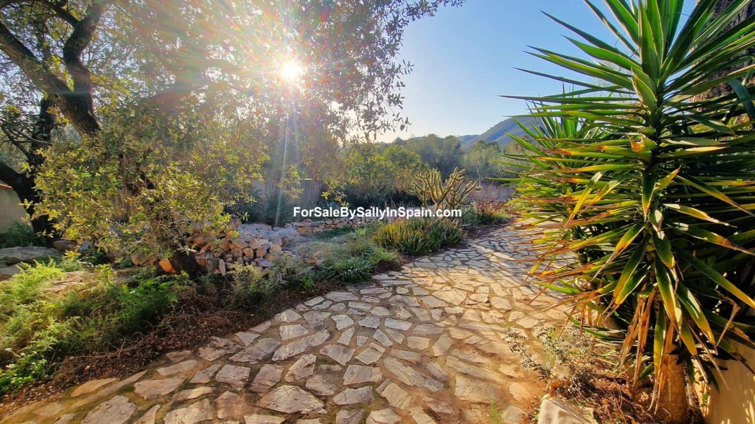 4 bedrooms House in Valencia, Spain No. 202395