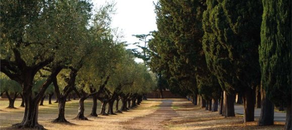  قطعة أرض في Villa San Pietro, Italy 4832متر مربع رقم 25828 21