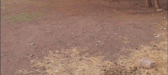  قطعة أرض في Villa San Pietro, Italy 4832متر مربع رقم 25828 26