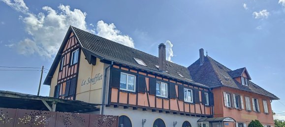 Gewerbliche Immobilie in Gundershoffen, France, Nr. 243132 2