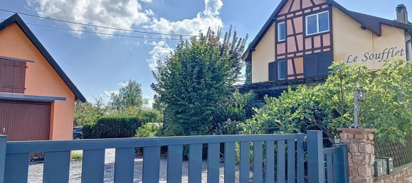 Gewerbliche Immobilie in Gundershoffen, France, Nr. 243132 12