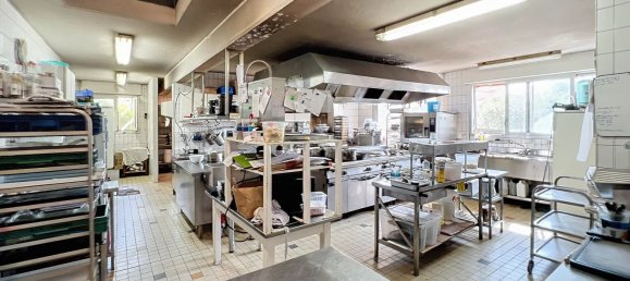 Gewerbliche Immobilie in Gundershoffen, France, Nr. 243132 8