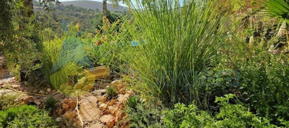 3 bedrooms House in Loule, Portugal No. 133489 19