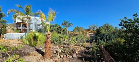 3 bedrooms House in Loule, Portugal No. 133489 11