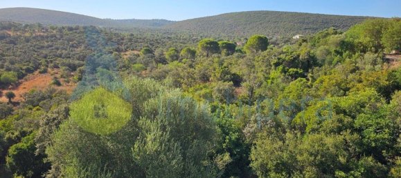 3 bedrooms House in Loule, Portugal No. 133489 48