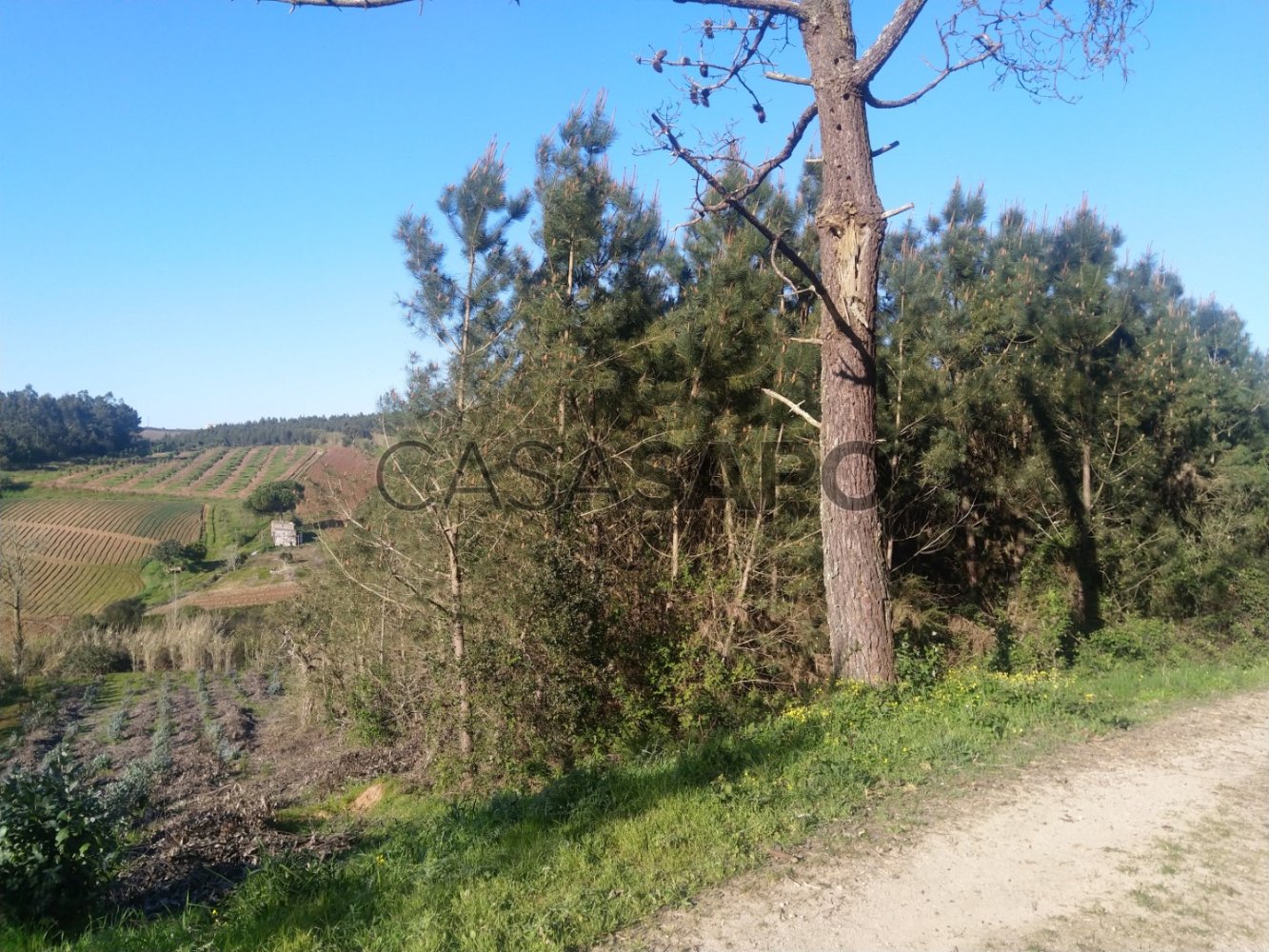 Grundstück in Lourinha, Portugal, Nr. 303965