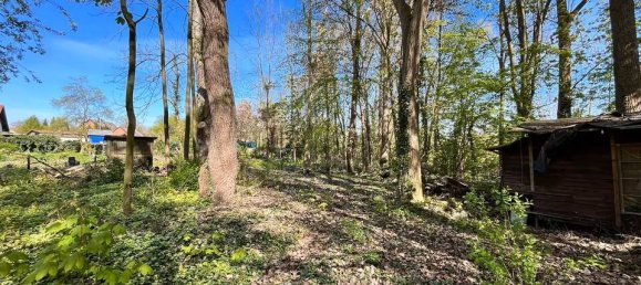 Terreno em Peine, Germany N.º 320448 4