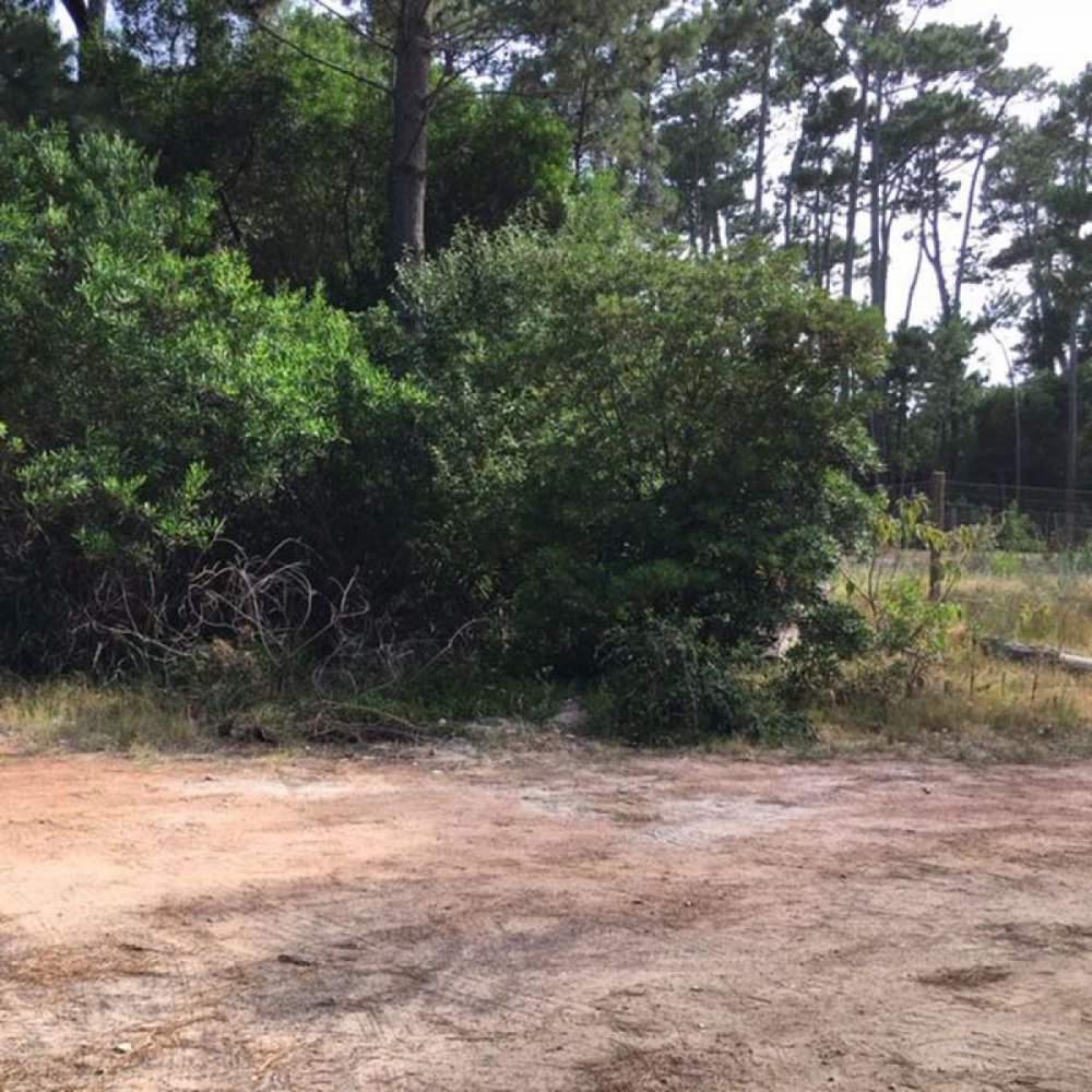 Земельный участок в Мальдонадо, Уругвай № 15535