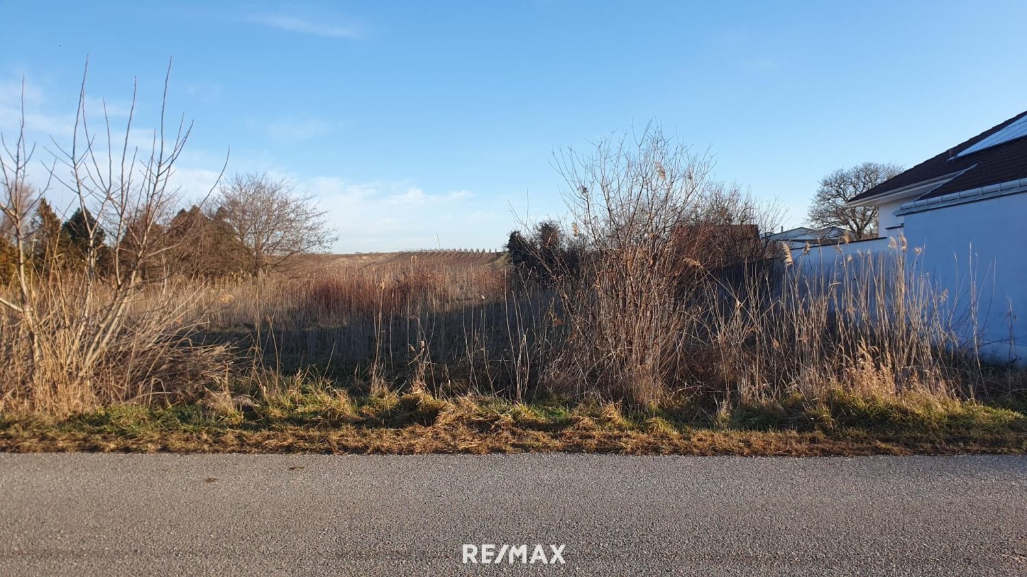 Terreno en Gols, Austria No. 70044