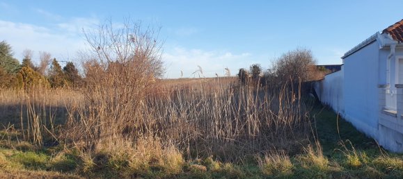 Terreno en Gols, Austria No. 70044 3