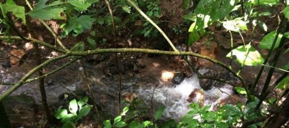 Land for sale in Aserri, San José, Costa Rica № 1580 3