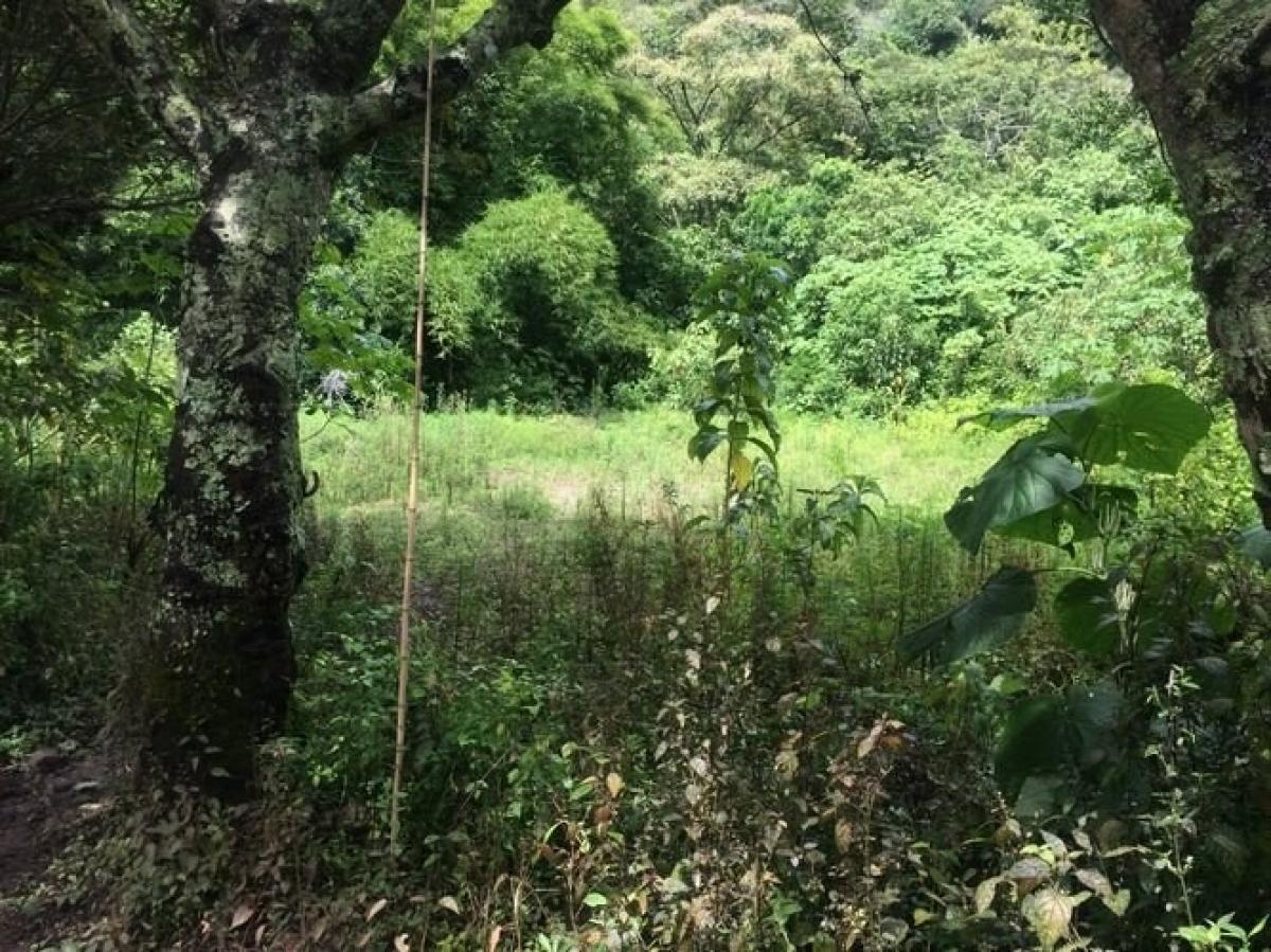 Land for sale in Aserri, San José, Costa Rica № 1580