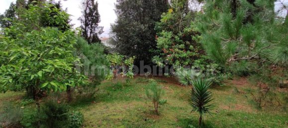 4 bedrooms Villa in Massa, Italy No. 215038 4