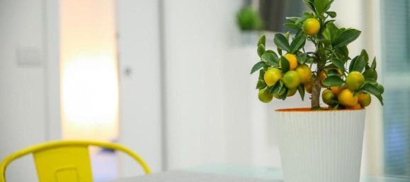 2 غرف نوم شقة في Naples, Italy رقم 315904 11