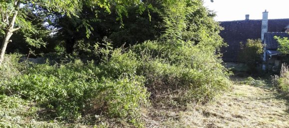 Adosado de 2 dormitorios en Dammarie-sur-Loing, France No. 97834 4