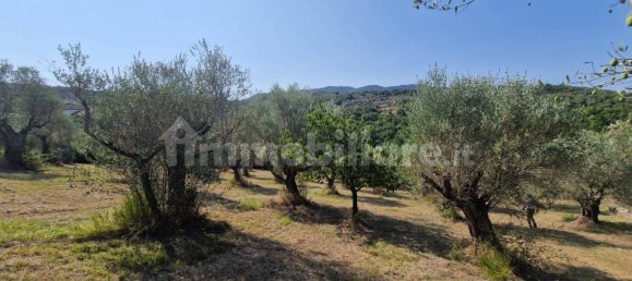 Земельный участок 10000м² в Кастель Мадама, Италия № 298654 5