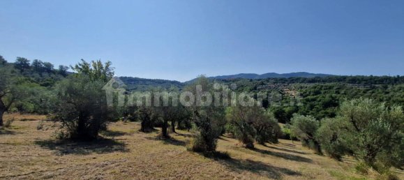 Земельный участок 10000м² в Кастель Мадама, Италия № 298654 11