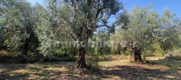 Земельный участок 10000м² в Кастель Мадама, Италия № 298654 12