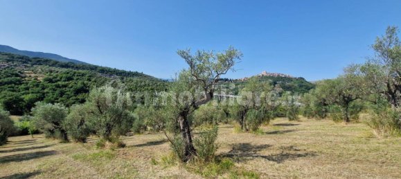 Земельный участок 10000м² в Кастель Мадама, Италия № 298654 7