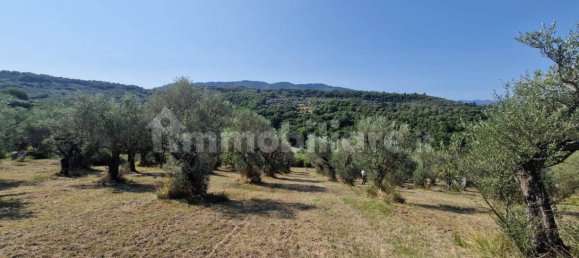 Земельный участок 10000м² в Кастель Мадама, Италия № 298654 9