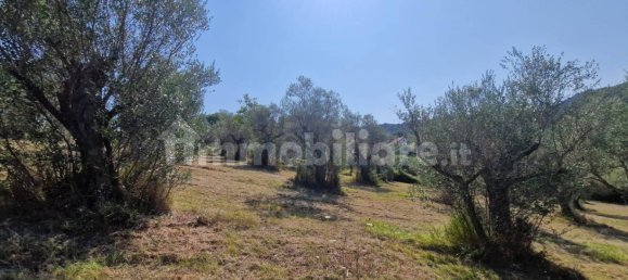 Земельный участок 10000м² в Кастель Мадама, Италия № 298654 6