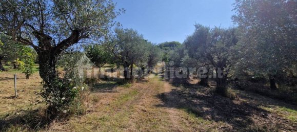 Земельный участок 10000м² в Кастель Мадама, Италия № 298654 14