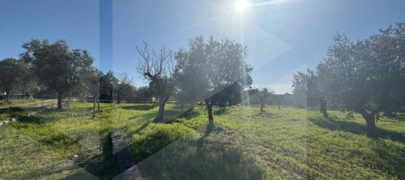 Studio in Castellana Grotte, Italy, Nr. 23131 2