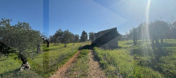 Studio in Castellana Grotte, Italy, Nr. 23131 7