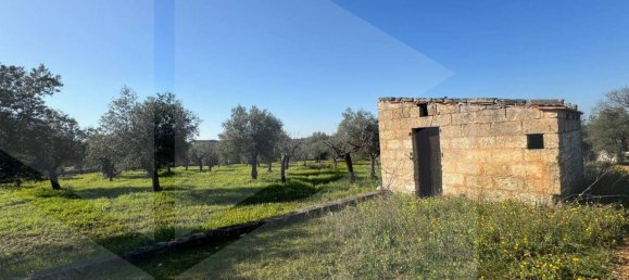 Studio in Castellana Grotte, Italy, Nr. 23131 6