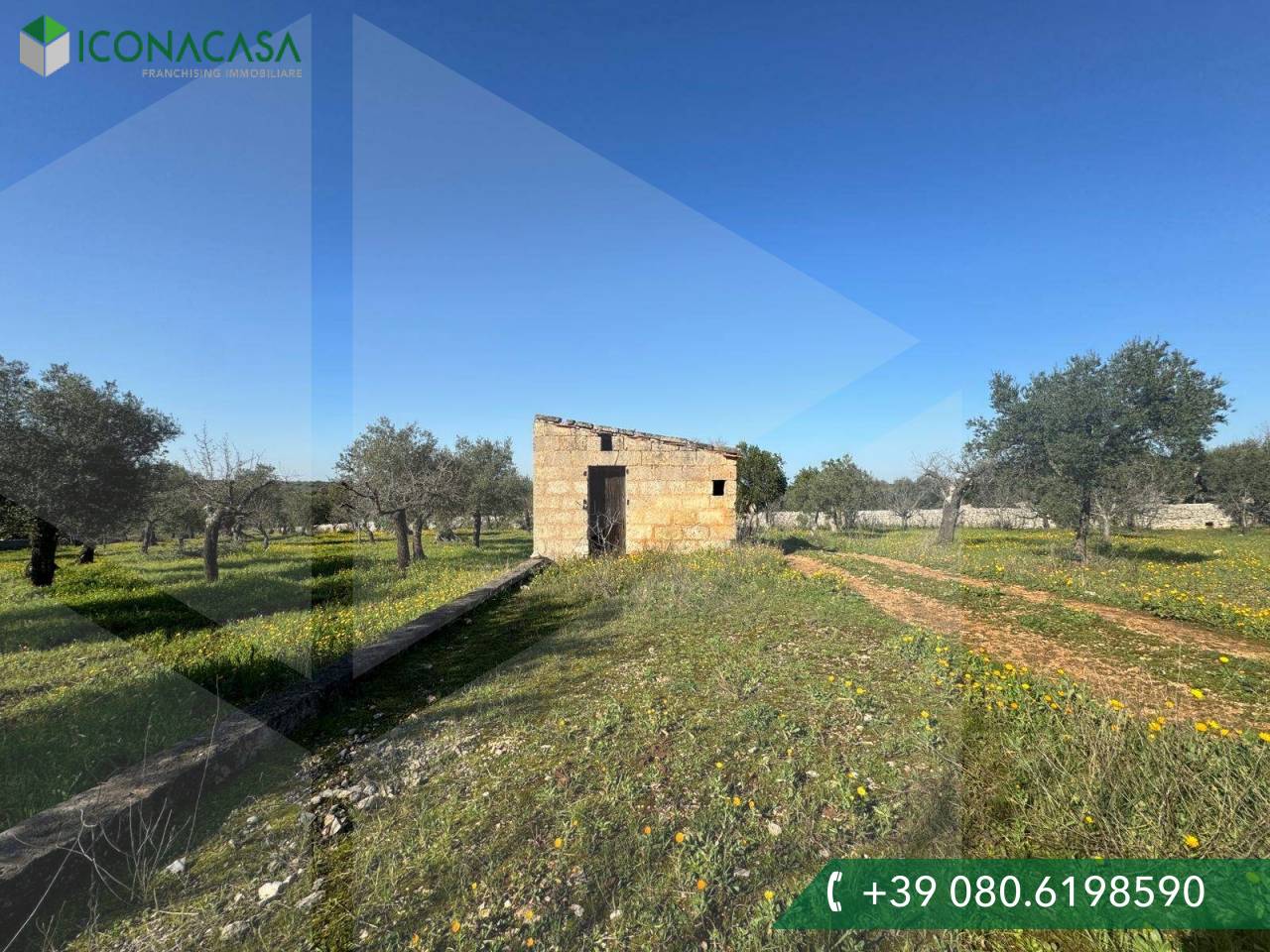 Studio in Castellana Grotte, Italy, Nr. 23131