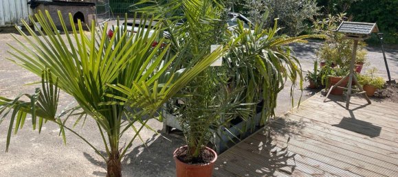  عقار تجاري في Vorpommern-Greifswald, Germany 14000متر مربع رقم 293671 18