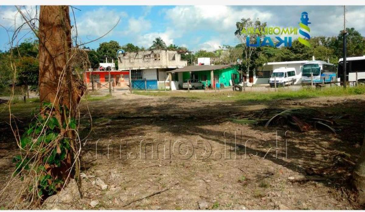  Land in Veracruz, Mexico No. 206323