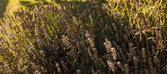 4-salle Maison à Raaba-Grambach, Austria No. 247341 28