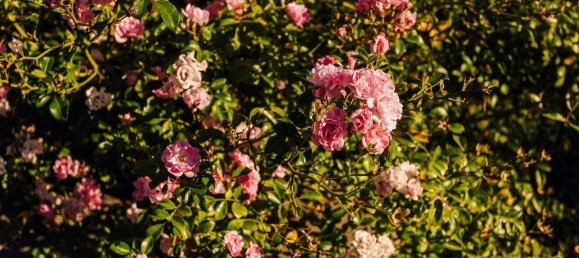 4-salle Maison à Raaba-Grambach, Austria No. 247341 29