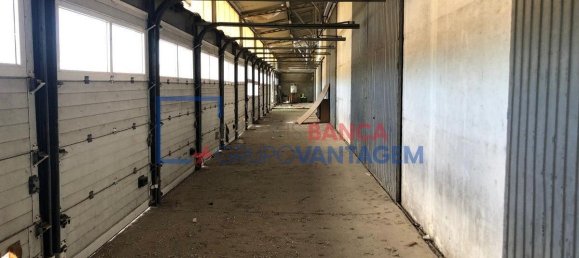 6500m² Warehouse in Casal de Cambra, Portugal No. 195503 5