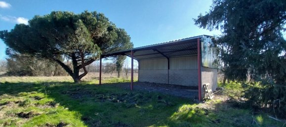 3 chambres Maison à Salbris, France No. 85303 10