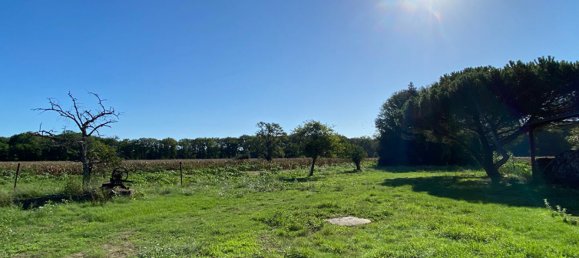 3 chambres Maison à Salbris, France No. 85303 14