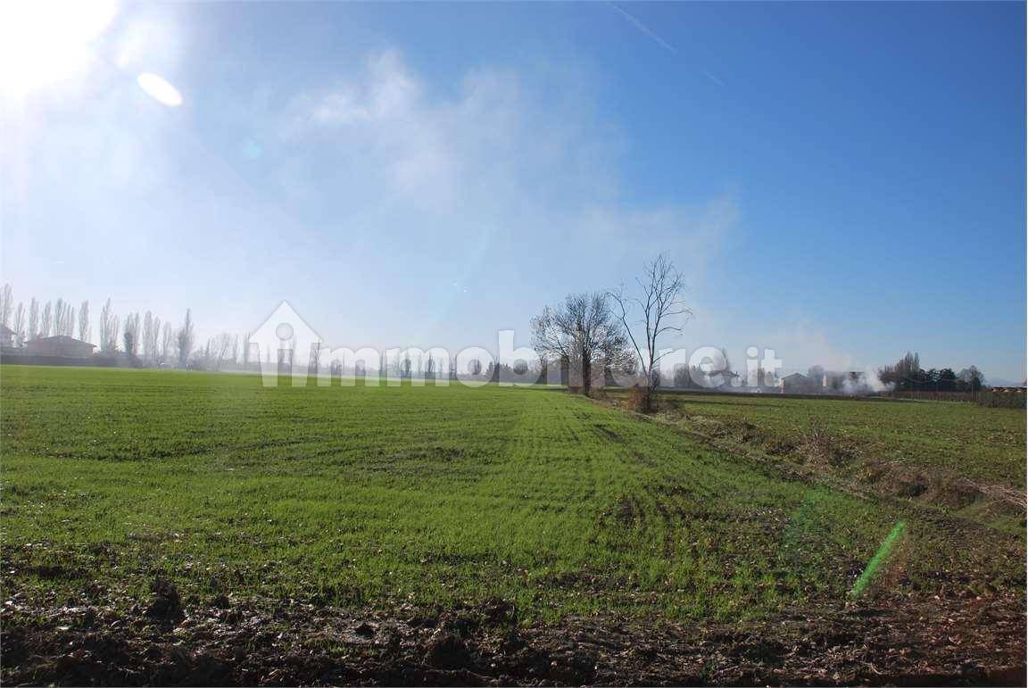 80000m² Land in Modena, Italy No. 77446