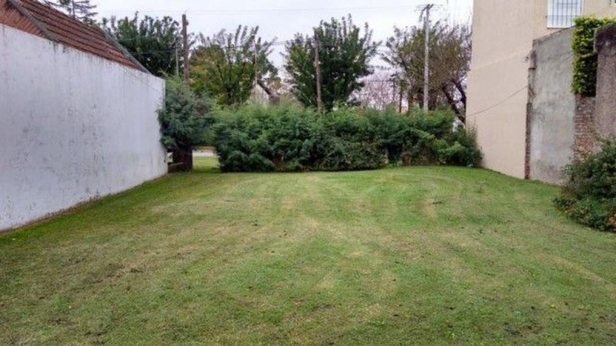  Land in Chascomus, Argentina No. 43840