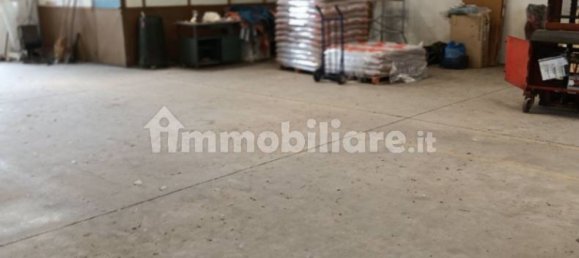 450m² Warehouse in Riva del Po, Italy No. 298112 7