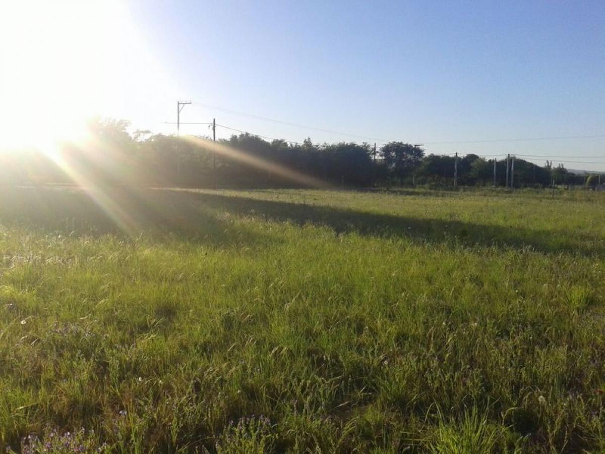  Land in Cordoba, Argentina No. 50117